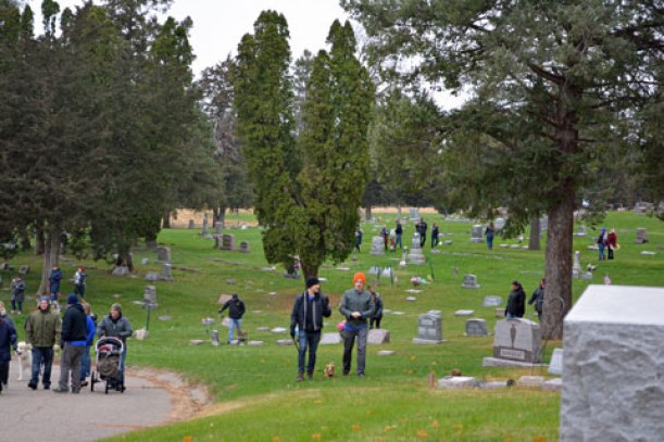 Strolling through the cemetery